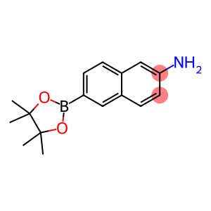 2-Naphthalenamine, 6-(4,4,5,5-tetramethyl-1,3,2-dioxaborolan-2-yl)-