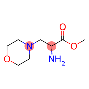 3-(1-Morpholinyl)-D-Ala-OMe