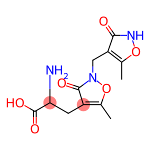 alpha-amino-2-(3-hydroxy-5-methyl-4-isoxazolyl)methyl-5-methyl-3-oxo-4-isoxazoline-4-propionic acid