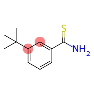 3-叔丁基苯-1-碳硫酰胺