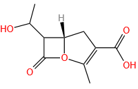 6-(1-hydroxyethyl)-2-methyl-1-oxa-2-penem-3-carboxylic acid