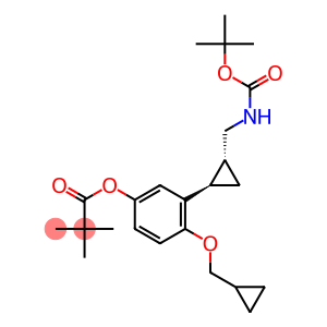 Propanoic acid, 2,2-diMethyl-, 4-(cyclopropylMethoxy)-3-[(1R,2R)-2-[[[(1,1-diMethylethoxy)carbonyl]aMino]Methyl]cyclopropyl]phenyl ester, rel-