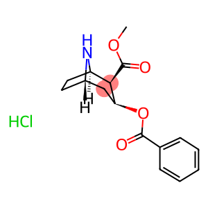 NORCOCAINE HYDROCHLORIDE