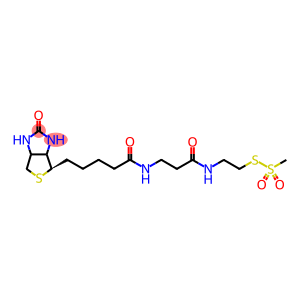 N-Biotinyl Propionylaminoethyl Methanethiosulfate