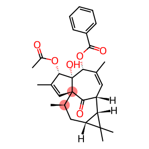 甘遂大戟萜酯C