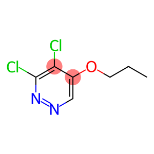 3,4-dichloro-5-propoxypyridazine