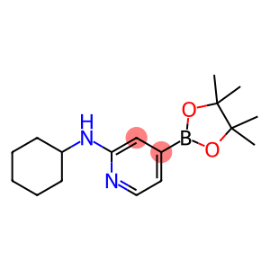 2-Pyridinamine, N-cyclohexyl-4-(4,4,5,5-tetramethyl-1,3,2-dioxaborolan-2-yl)-