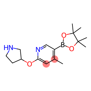 4-Methyl-2-(pyrrolidin-3-yloxy)-5-(4,4,5,5-tetraMethyl-1,3,2-dioxaborolan-2-yl)pyridine