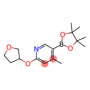 4-Methyl-2-((tetrahydrofuran-3-yl)oxy)-5-(4,4,5,5-tetraMethyl-1,3,2-dioxaborolan-2-yl)pyridine