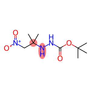 Hydrazinecarboxylic acid, 2-(1,1-dimethyl-2-nitroethyl)-, 1,1-dimethylethyl ester