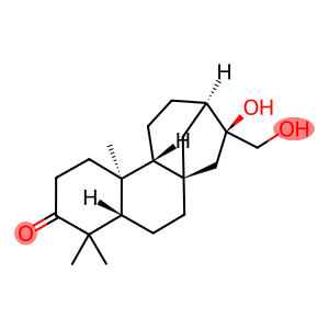Aids-002923