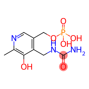 4'-carbamoylpyridoxamine 5'-phosphate