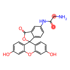 Fluoresceinyl Glycine AMide  [5-(AMinoacetaMido)Fluorescein]