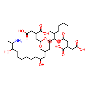 伏马毒素B3, 来源于串珠镰刀菌