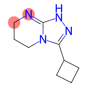 3-Cyclobutyl-5H,6H,7H,8H-[1,2,4]triazolo[4,3-a]pyrimidine