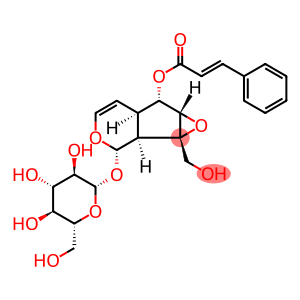 6-O-Cinnamoyl Catalpol