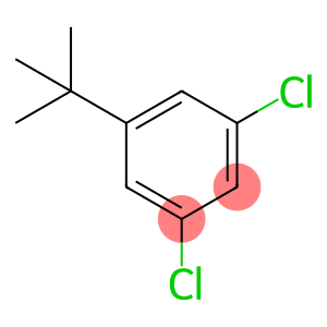 1-(叔丁基)-3,5-二氯苯