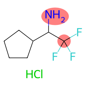 1-环戊基-2,2,2-三氟乙烷-1-胺盐酸盐