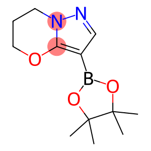 3-(4,4,5,5-四甲基-1,3,2-二氧杂硼烷-2-基)-6,7-二氢-5H-吡唑并[5,1-B][1,3]恶嗪