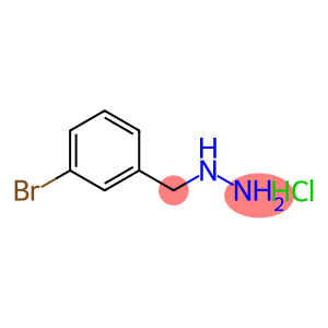 (3-bromobenzyl)hydrazine hydrochloride