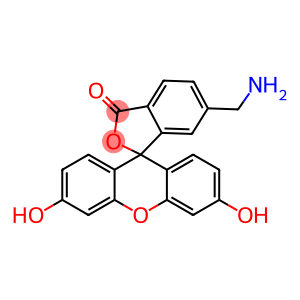 6-(aminomethyl)fluorescein