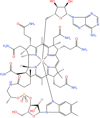 coenzyme B12