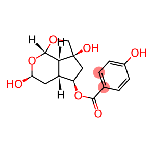 Benzoic acid,4-hydroxy-,(2aS,4R,4aR,6S,7aS,7bS)-octahydro-2a,6-dihydroxy-2H-1,7-dioxacyclopent[cd]inden-4-ylester