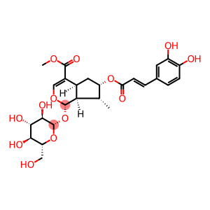 7-caffeoylloganin