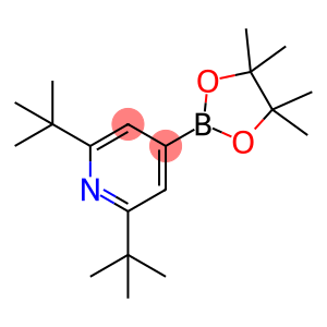 2,6-BIS(TERT-BUTYL)PYRIDINE-4-BORONIC ACID PINACOL ESTER