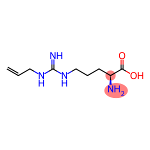 omega-N-allylarginine