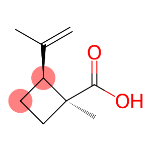 Cyclobutanecarboxylic acid, 1-methyl-2-(1-methylethenyl)-, (1S-cis)- (9CI)