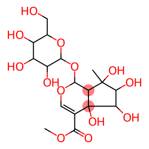 7-EPIPHLOMIOL