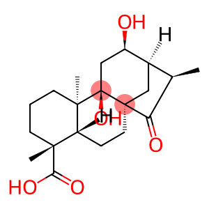 Pterisolic acid E