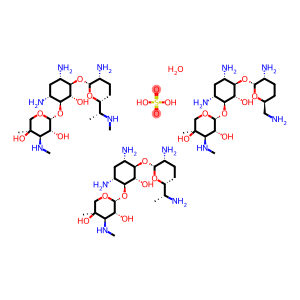 Gentamycin Solution