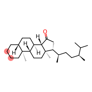 5α-Ergostan-15-one