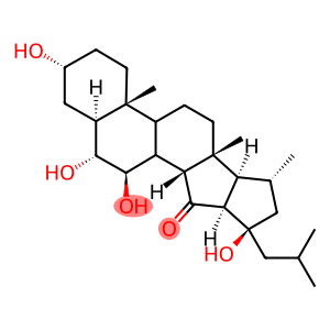 xestobergsterol A