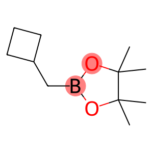 2-(cyclobutylmethyl)-4,4,5,5-tetramethyl-1,3,2-dioxaborolane