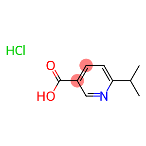 6-异丙基烟酸