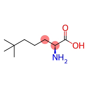 2-amino-6,6-dimethylheptanoic acid