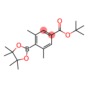 4-Boc-2,6-dimethylphenylboronic Acid Pinacol Ester