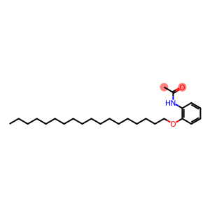 Acetamide, N-[2-(octadecyloxy)phenyl]-