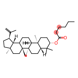 Cynanester A