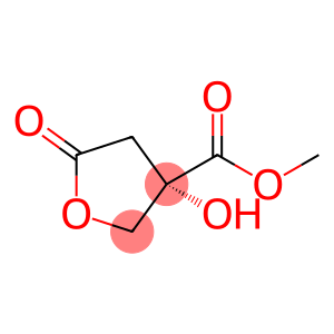 3-Furancarboxylicacid,tetrahydro-3-hydroxy-5-oxo-,methylester,(S)-(9CI)