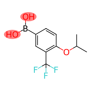 4-(异丙氧基)-3-(三氟甲基)苯基硼酸