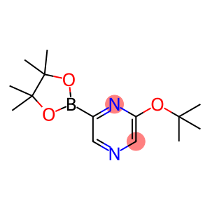 6-(TERT-BUTOXY)PYRAZINE-2-BORONIC ACID PINACOL ESTER