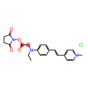 N-ethyl-N-(4-(2-(4-(1-methylpyridino))ethenyl)phenyl)glycine N-hydroxysuccinimide ester