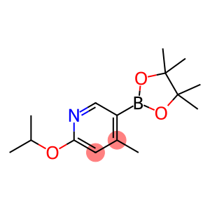 2-异丙氧基-4-甲基-5-(4,4,5,5-四甲基-1,3,2-二氧杂环戊硼烷-2-基)吡啶