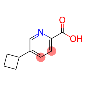 2-Pyridinecarboxylic acid, 5-cyclobutyl-