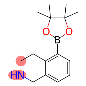 5-(tetramethyl-1,3,2-dioxaborolan-2-yl)-1,2,3,4-tetrahydroisoquinoline