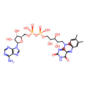 adenine-flavindinucleotide